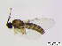  ( - bf-sci-01109)  @12 [ ] CreativeCommons - Attribution Non-Commercial Share-Alike (2016) Kjell Magne Olsen BioFokus