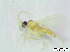  ( - bf-sci-01116)  @11 [ ] CreativeCommons - Attribution Non-Commercial Share-Alike (2016) Kjell Magne Olsen BioFokus