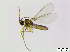  ( - bf-sci-01159)  @13 [ ] CreativeCommons - Attribution Non-Commercial Share-Alike (2016) Kjell Magne Olsen BioFokus