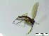  ( - bf-sci-01225)  @12 [ ] CreativeCommons - Attribution Non-Commercial Share-Alike (2016) Kjell Magne Olsen BioFokus