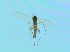  ( - bf-sci-01349)  @11 [ ] CreativeCommons - Attribution Non-Commercial Share-Alike (2016) Oivind Gammelmo BioFokus