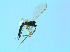  ( - bf-sci-01360)  @12 [ ] CreativeCommons - Attribution Non-Commercial Share-Alike (2016) Oivind Gammelmo BioFokus