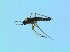  ( - bf-sci-01361)  @11 [ ] CreativeCommons - Attribution Non-Commercial Share-Alike (2016) Oivind Gammelmo BioFokus