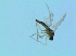  ( - bf-sci-01364)  @11 [ ] CreativeCommons - Attribution Non-Commercial Share-Alike (2016) Oivind Gammelmo BioFokus