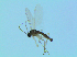  ( - bf-sci-01366)  @11 [ ] CreativeCommons - Attribution Non-Commercial Share-Alike (2016) Oivind Gammelmo BioFokus
