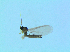  ( - bf-sci-01385)  @11 [ ] CreativeCommons - Attribution Non-Commercial Share-Alike (2016) Oivind Gammelmo BioFokus