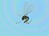  ( - bf-sci-01391)  @11 [ ] CreativeCommons - Attribution Non-Commercial Share-Alike (2016) Oivind Gammelmo BioFokus