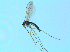  ( - bf-sci-01403)  @11 [ ] CreativeCommons - Attribution Non-Commercial Share-Alike (2016) Oivind Gammelmo BioFokus