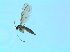  ( - bf-sci-01404)  @12 [ ] CreativeCommons - Attribution Non-Commercial Share-Alike (2016) Oivind Gammelmo BioFokus