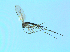 ( - bf-sci-01405)  @12 [ ] CreativeCommons - Attribution Non-Commercial Share-Alike (2016) Oivind Gammelmo BioFokus
