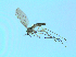 ( - bf-sci-01406)  @12 [ ] CreativeCommons - Attribution Non-Commercial Share-Alike (2016) Oivind Gammelmo BioFokus