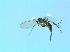  ( - bf-sci-01410)  @12 [ ] CreativeCommons - Attribution Non-Commercial Share-Alike (2016) Oivind Gammelmo BioFokus