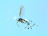  ( - bf-sci-01413)  @12 [ ] CreativeCommons - Attribution Non-Commercial Share-Alike (2016) Oivind Gammelmo BioFokus