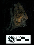  ( - MACN13162)  @11 [ ] CreativeCommons - Attribution Non-Commercial Share-Alike (2013) Unspecified Unspecified
