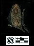  ( - MACN13162)  @11 [ ] CreativeCommons - Attribution Non-Commercial Share-Alike (2013) Unspecified Unspecified