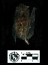  ( - MACN13163)  @11 [ ] CreativeCommons - Attribution Non-Commercial Share-Alike (2013) Unspecified Unspecified
