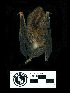  ( - MACN13163)  @11 [ ] CreativeCommons - Attribution Non-Commercial Share-Alike (2013) Unspecified Unspecified