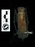  ( - MACN16620)  @11 [ ] CreativeCommons - Attribution Non-Commercial Share-Alike (2013) Unspecified Unspecified