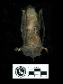  ( - MACN16620)  @11 [ ] CreativeCommons - Attribution Non-Commercial Share-Alike (2013) Unspecified Unspecified
