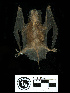 ( - MACN16621)  @11 [ ] CreativeCommons - Attribution Non-Commercial Share-Alike (2013) Unspecified Unspecified