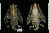  ( - MACN16871)  @11 [ ] CreativeCommons - Attribution Non-Commercial Share-Alike (2013) Unspecified Unspecified