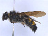  ( - SCOL-00027)  @11 [ ] Copyright (c) (2024) Damian Ramirez Unspecified