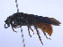  ( - SCOL-00058)  @11 [ ] Copyright (c) (2024) Damian Ramirez Unspecified