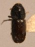  ( - BHJ107)  @13 [ ] No Rights Reserved (2012) Unspecified University Museum of Bergen, Natural History Collections