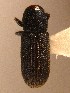 ( - BHJ108)  @12 [ ] No Rights Reserved (2012) Unspecified University Museum of Bergen, Natural History Collections