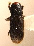  ( - BHJ160)  @12 [ ] No Rights Reserved (2012) Unspecified University Museum of Bergen, Natural History Collections