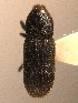  ( - BHJ166)  @12 [ ] No Rights Reserved (2012) Unspecified University Museum of Bergen, Natural History Collections