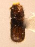  ( - BHJ223)  @13 [ ] No Rights Reserved (2012) Unspecified University Museum of Bergen, Natural History Collections
