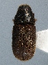  ( - BHJ239)  @13 [ ] No Rights Reserved (2012) Unspecified University Museum of Bergen, Natural History Collections