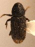  ( - BHJ244)  @12 [ ] No Rights Reserved (2012) Unspecified University Museum of Bergen, Natural History Collections