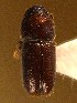 ( - BHJ247)  @14 [ ] No Rights Reserved (2012) Unspecified University Museum of Bergen, Natural History Collections