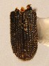  ( - BHJ27)  @12 [ ] No Rights Reserved (2012) Unspecified University Museum of Bergen, Natural History Collections