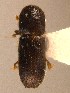  ( - BHJ280)  @13 [ ] No Rights Reserved (2012) Unspecified University Museum of Bergen, Natural History Collections