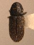  ( - BHJ288)  @12 [ ] No Rights Reserved (2012) Unspecified University Museum of Bergen, Natural History Collections