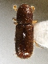  ( - BHJ334)  @12 [ ] No Rights Reserved (2012) Unspecified University Museum of Bergen, Natural History Collections