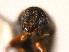  ( - BHJ78)  @11 [ ] No Rights Reserved (2012) Unspecified University Museum of Bergen, Natural History Collections