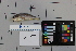  ( - OGL-L268-E28664)  @11 [ ] Creative Commons Attribution License (CC BY) (2018) Unspecified Ocean Genome Legacy