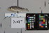  ( - OGL-L268-E28665)  @11 [ ] Creative Commons Attribution License (CC BY) (2018) Unspecified Ocean Genome Legacy