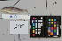  ( - OGL-L268-E28665)  @11 [ ] Creative Commons Attribution License (CC BY) (2018) Unspecified Ocean Genome Legacy