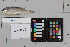  ( - OGL-L268-E28668)  @11 [ ] Creative Commons Attribution License (CC BY) (2018) Unspecified Ocean Genome Legacy