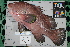  ( - OGL-L282-E29106)  @11 [ ] CreativeCommons  Attribution (by) (2018) Unspecified Ocean Genome Legacy