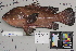  ( - OGL-L282-E29107)  @11 [ ] CreativeCommons  Attribution (by) (2018) Unspecified Ocean Genome Legacy