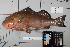  ( - OGL-L255-E28144)  @11 [ ] Creative Commons Attribution License (CC BY) (2018) Unspecified Ocean Genome Legacy