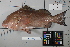  ( - OGL-L255-E28146)  @11 [ ] Creative Commons Attribution License (CC BY) (2018) Unspecified Ocean Genome Legacy