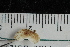  ( - ZMBN150362)  @11 [ ] CreativeCommons-by-nc-sa (2022) UoB University of Bergen, Natural History Collections