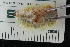  ( - ZMBN150364)  @11 [ ] CreativeCommons-by-nc-sa (2022) UoB University of Bergen, Natural History Collections